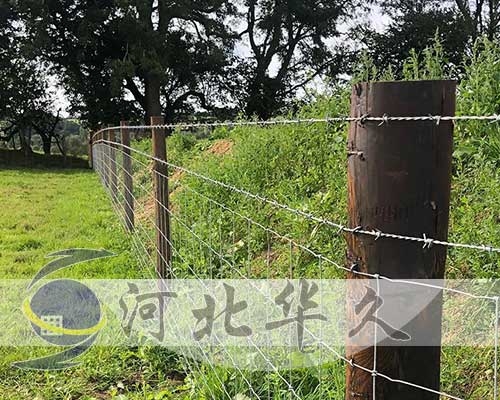 刺鐵絲網
