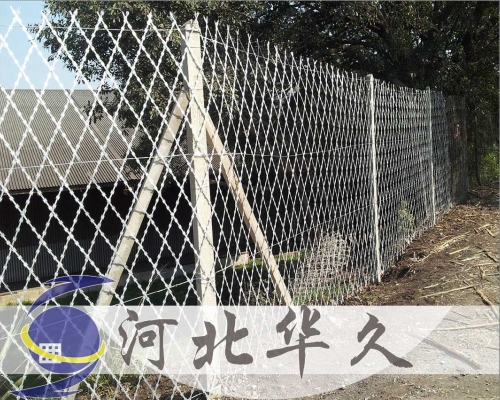 刀片刺網