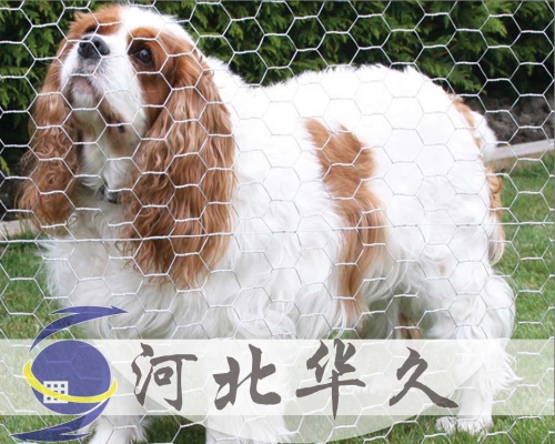 六角網