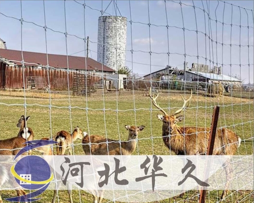 牛欄網