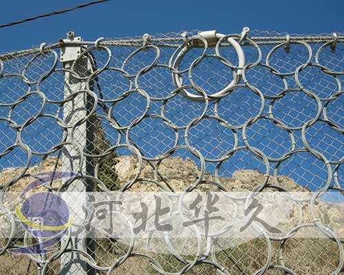 被動防護網